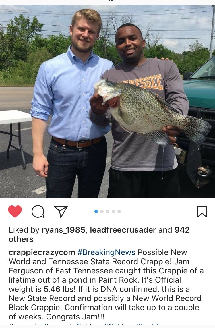 Holy GIANT Crappie Batman! Possible world record