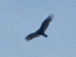 IMG_6444.JPG