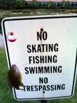 IMG_20120512_155717.jpg