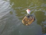 IMG_20120905_180358.jpg