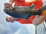 20200630_070227.jpg