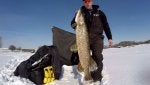 IMG_20190201_45181.jpg