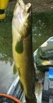 20170617_120840-3-1200x2350.jpg